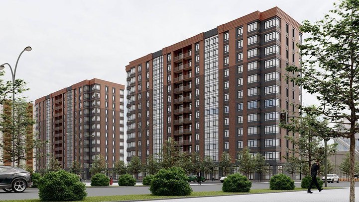 Березка — фото 1