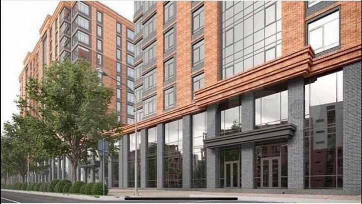 Березка — фото 2